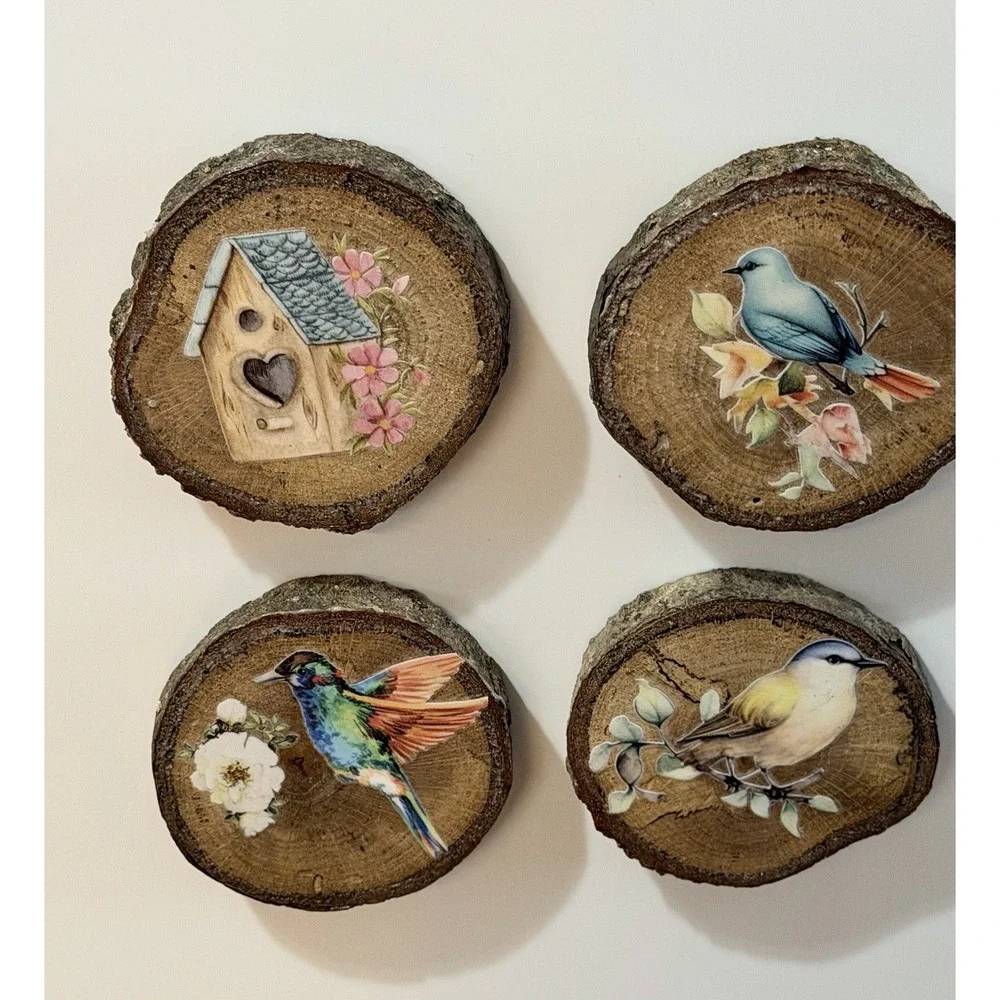 Set Of 4 Natural Oak Wood Bark Bird Magnets